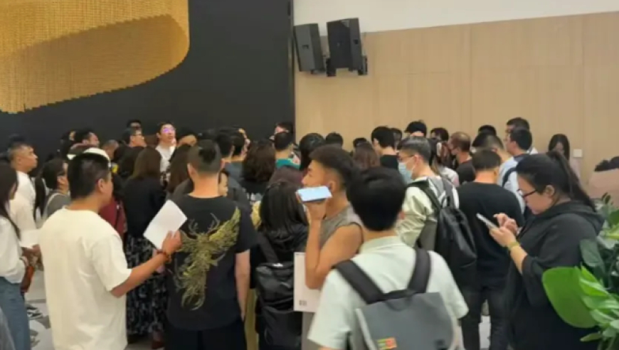 媒体：美“第二夫人”是个“狠人”,新澳门免费公开资料大全,典故解疑_测试版V1.73